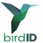 BirdID